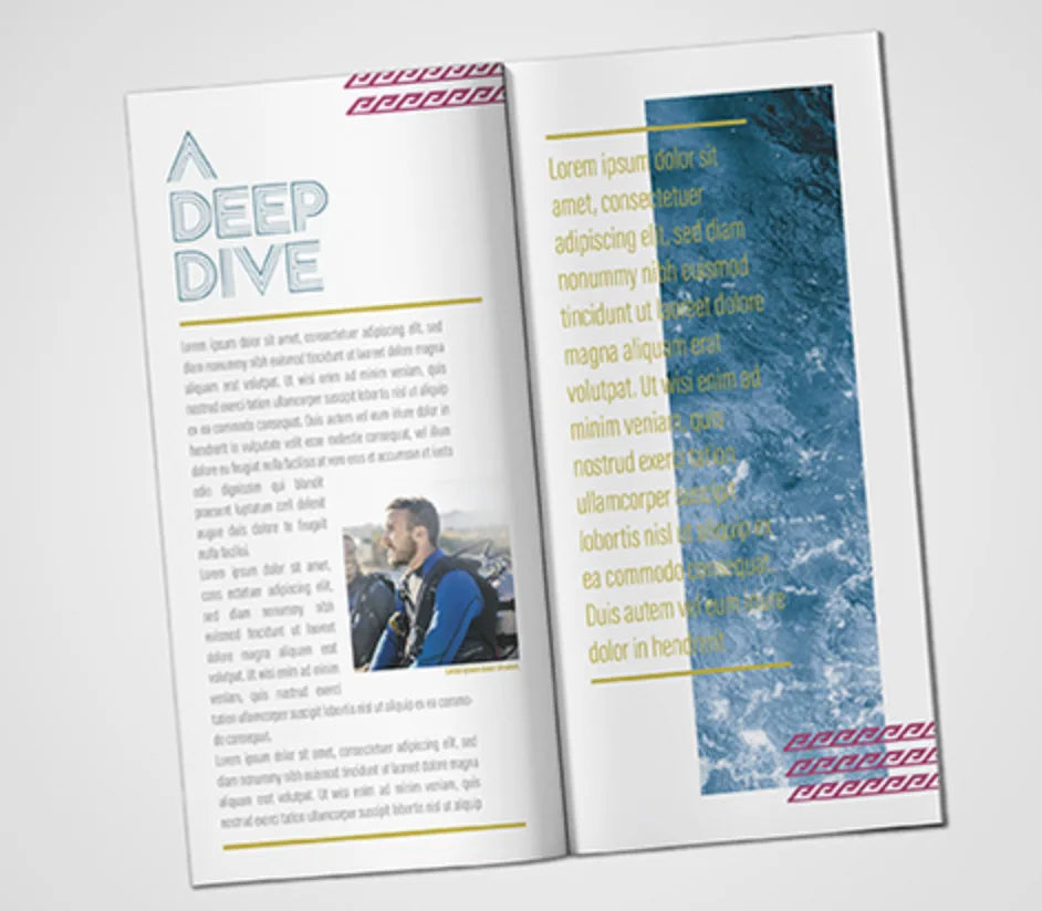 DL Stapled Brochures