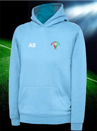 Roots clearance blue hoodie