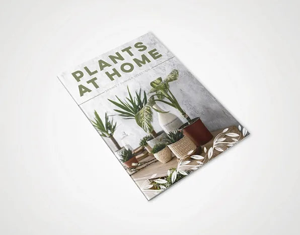 A6 Stapled Brochures 