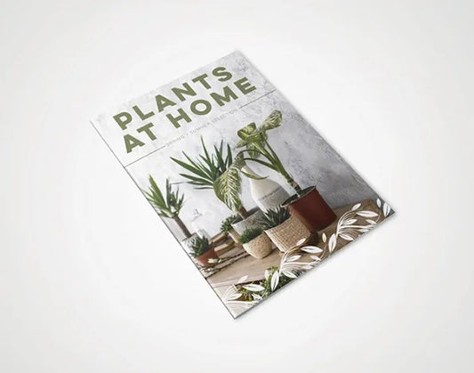 A6 Stapled Brochures 