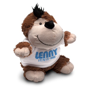 PG - Personalised Cuddly Toys